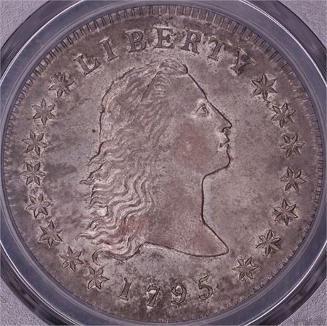 1795 $1 PCGS MS61 CAC Flowing Hair Dollar, 2 Leaves